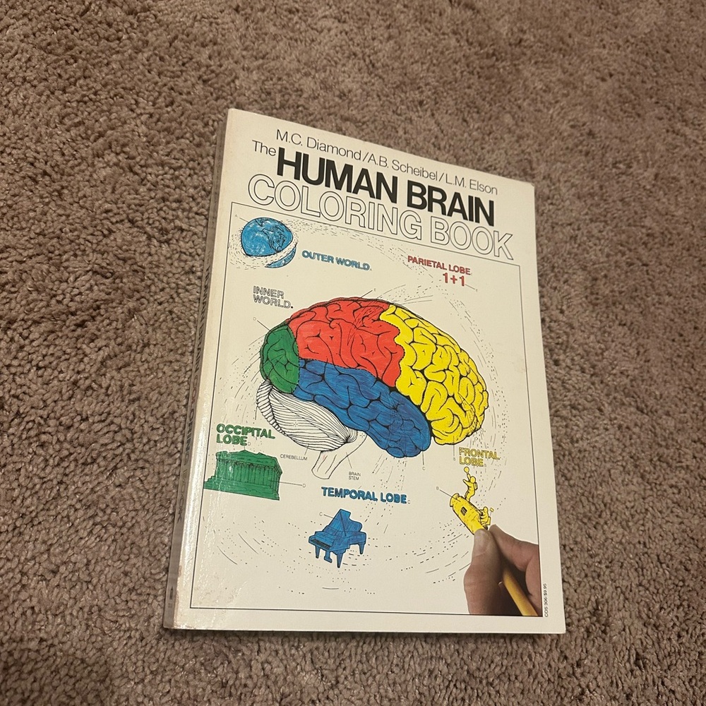 VINTAGE 1985 - THE HUMAN BRAIN COLORING BOOK